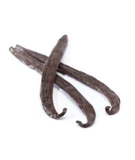 Tahitian XL Vanilla Pods